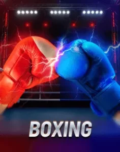 laro789 boxing
